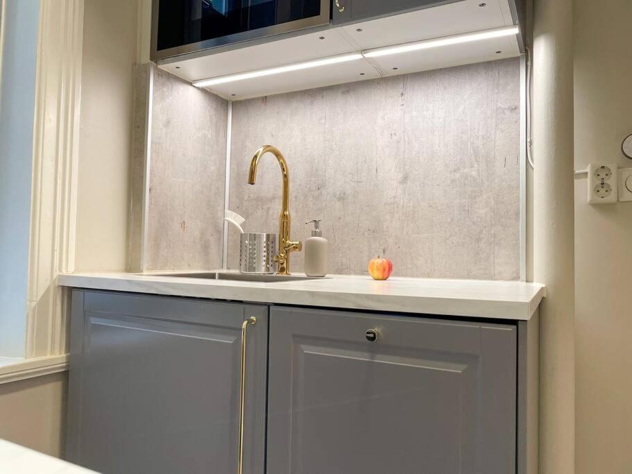 Luxury Apartement In Oslo Buitenkant foto